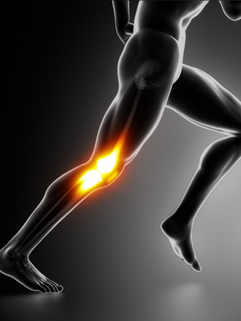 Sports/trauma - ligament and bone injuries